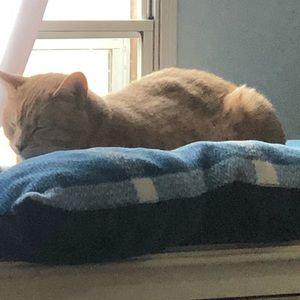 Meet your Posher, Hunter